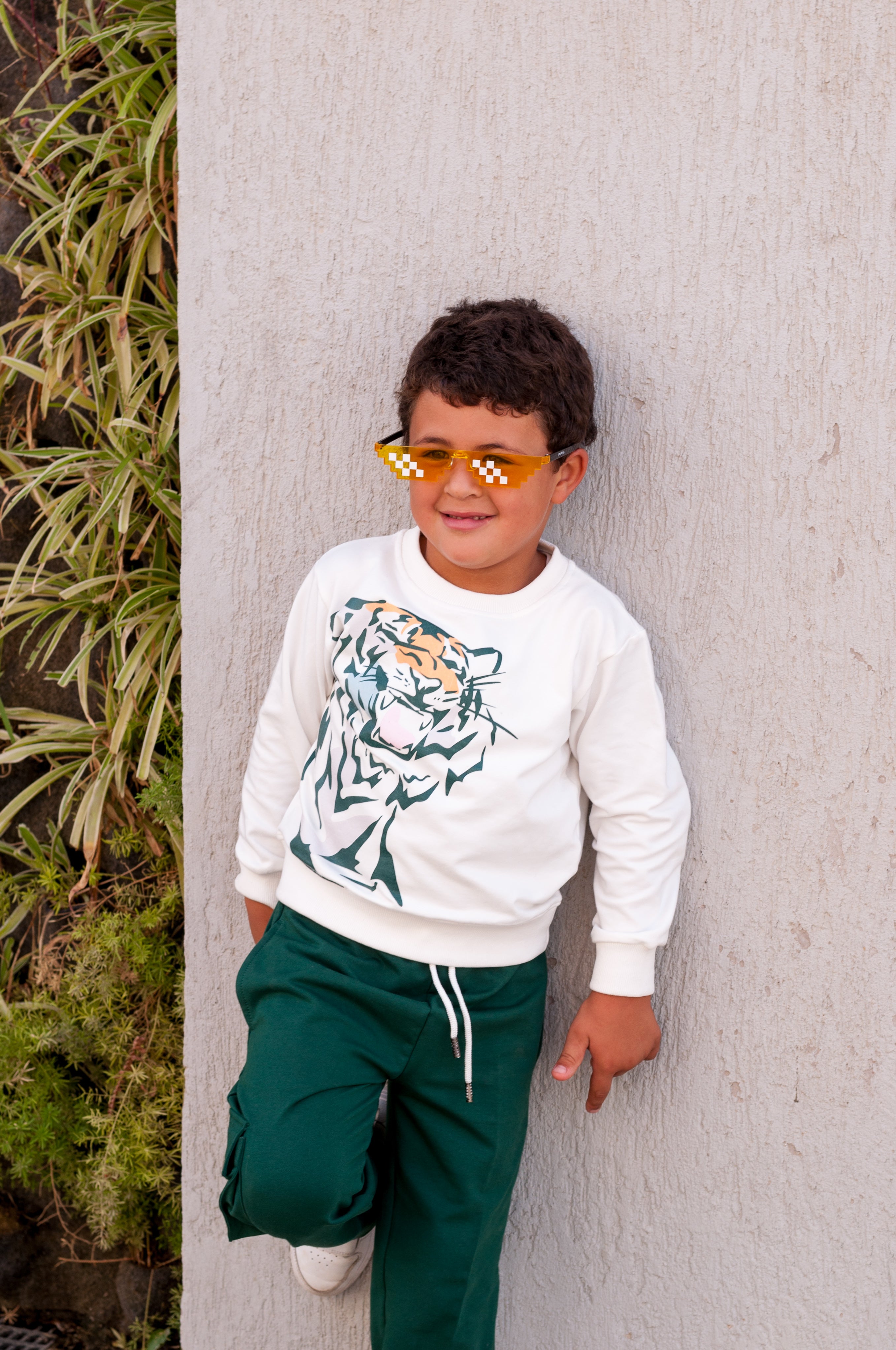 Wild Tiger- Crew Neck - HOPI