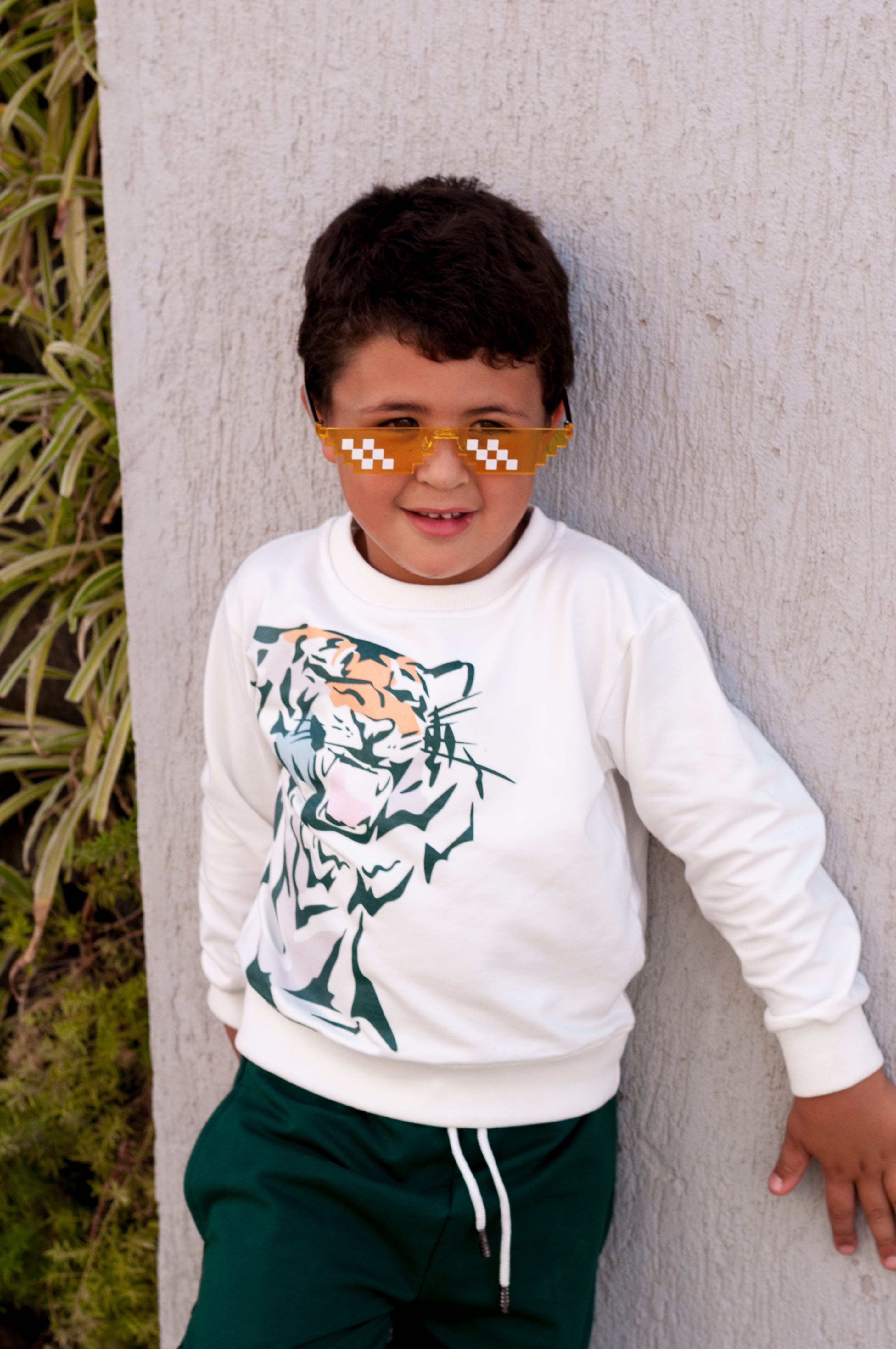 Wild Tiger- Crew Neck - HOPI
